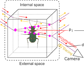 Seeing through the glass: Neural 3D reconstruction of object inside a transparent container
